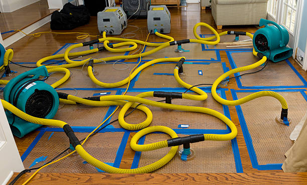 Professional Crawl Space Water Removal technician working in Fate, TX